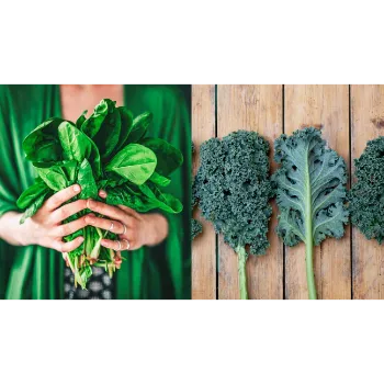 Spinach (38)-3330598-10372.webp